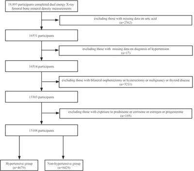 The relationship between uric acid and total femur bone mineral density in hypertensive and non-hypertensive populations